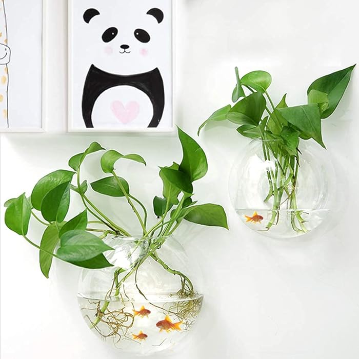 Wall-Mounted Aquatic Planter