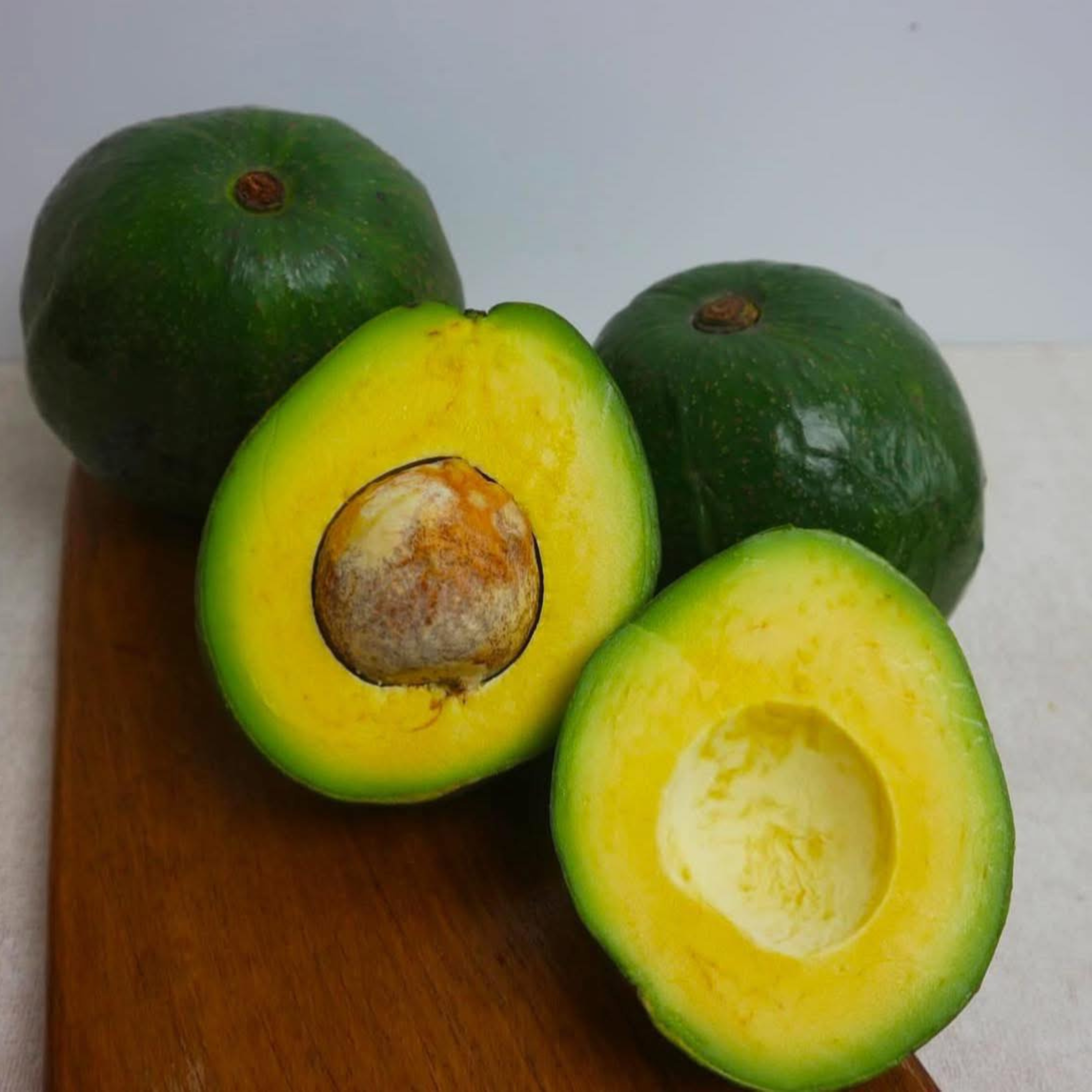 Kendil Avocado (Persea americana) Grafted Live Plant