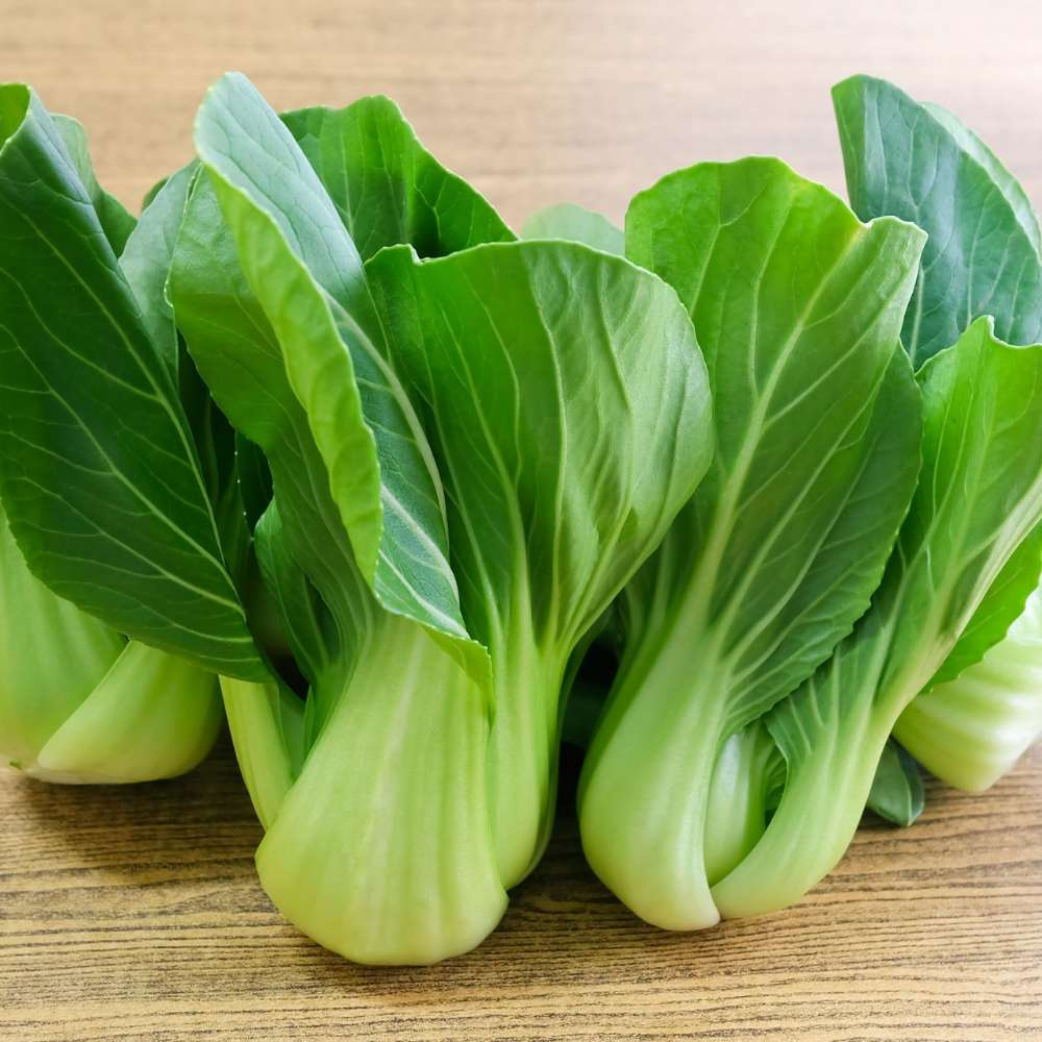 Organic Pak Choi (पाक चोई के बीज) Seeds - Open Pollinated