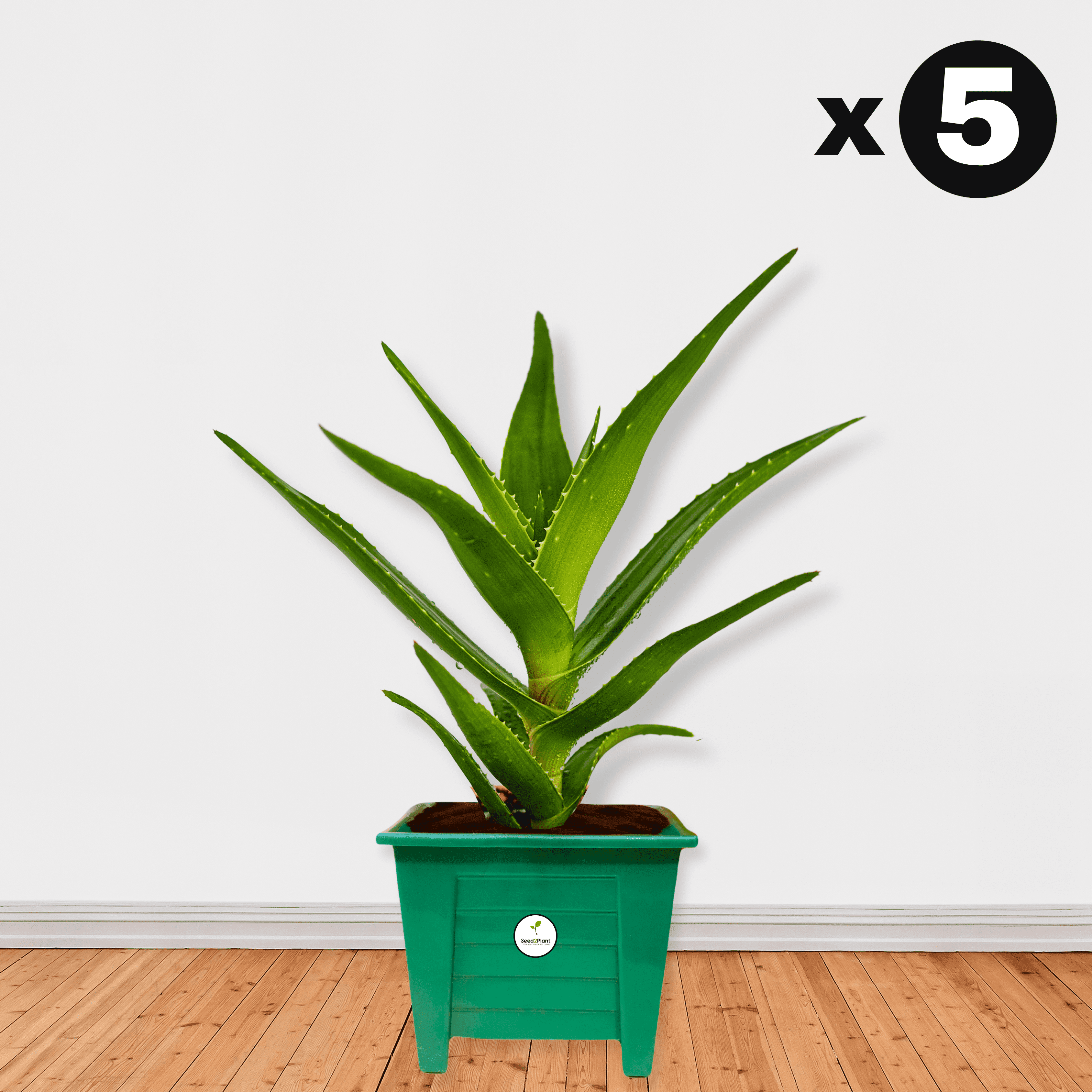 Square Planter - Green Colour