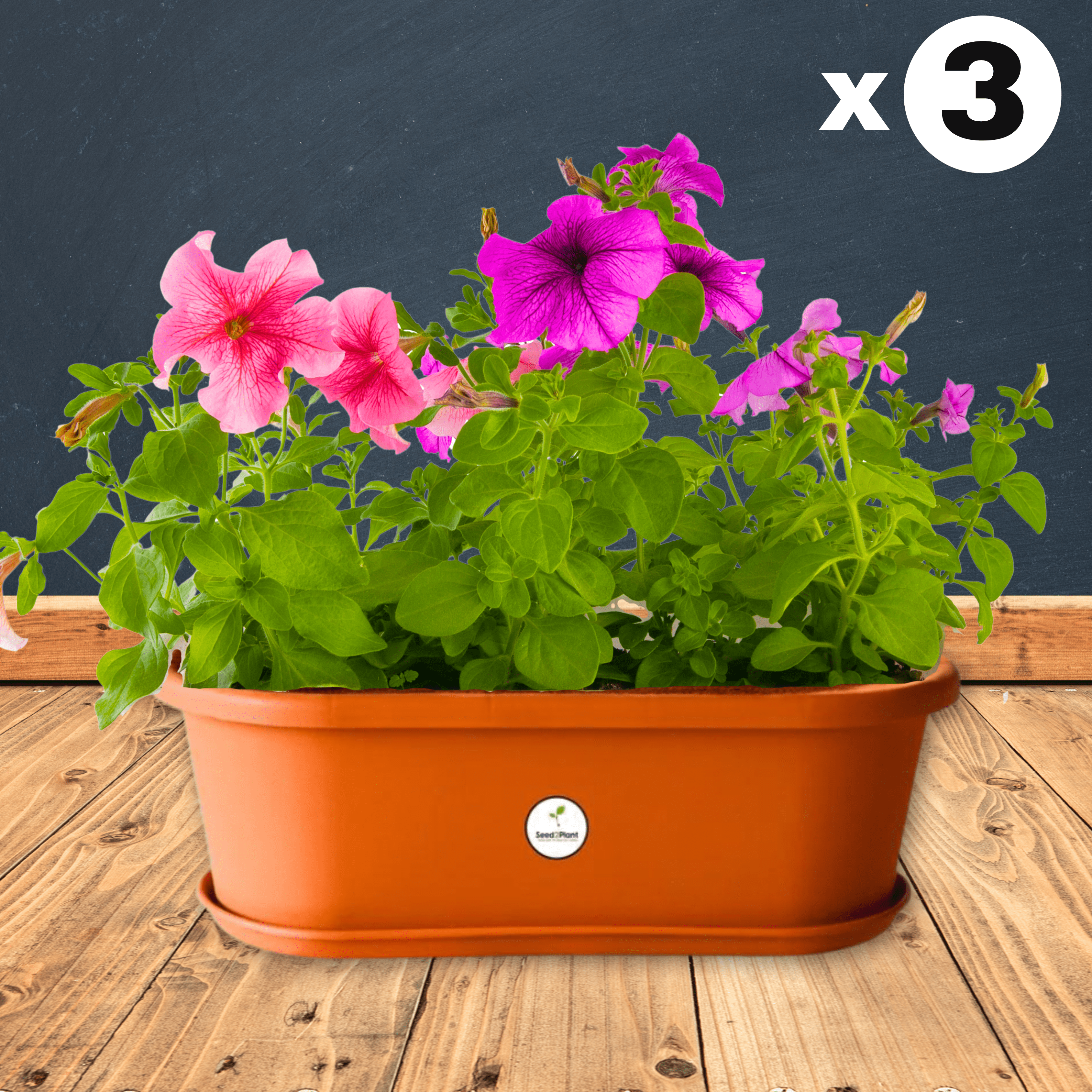 UV Treated Window Planter with Tray - Terracotta colour
