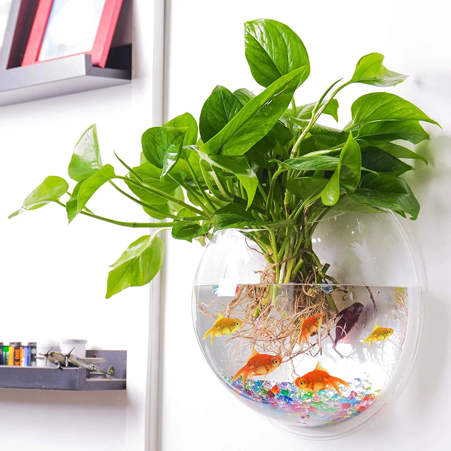Wall-Mounted Aquatic Planter
