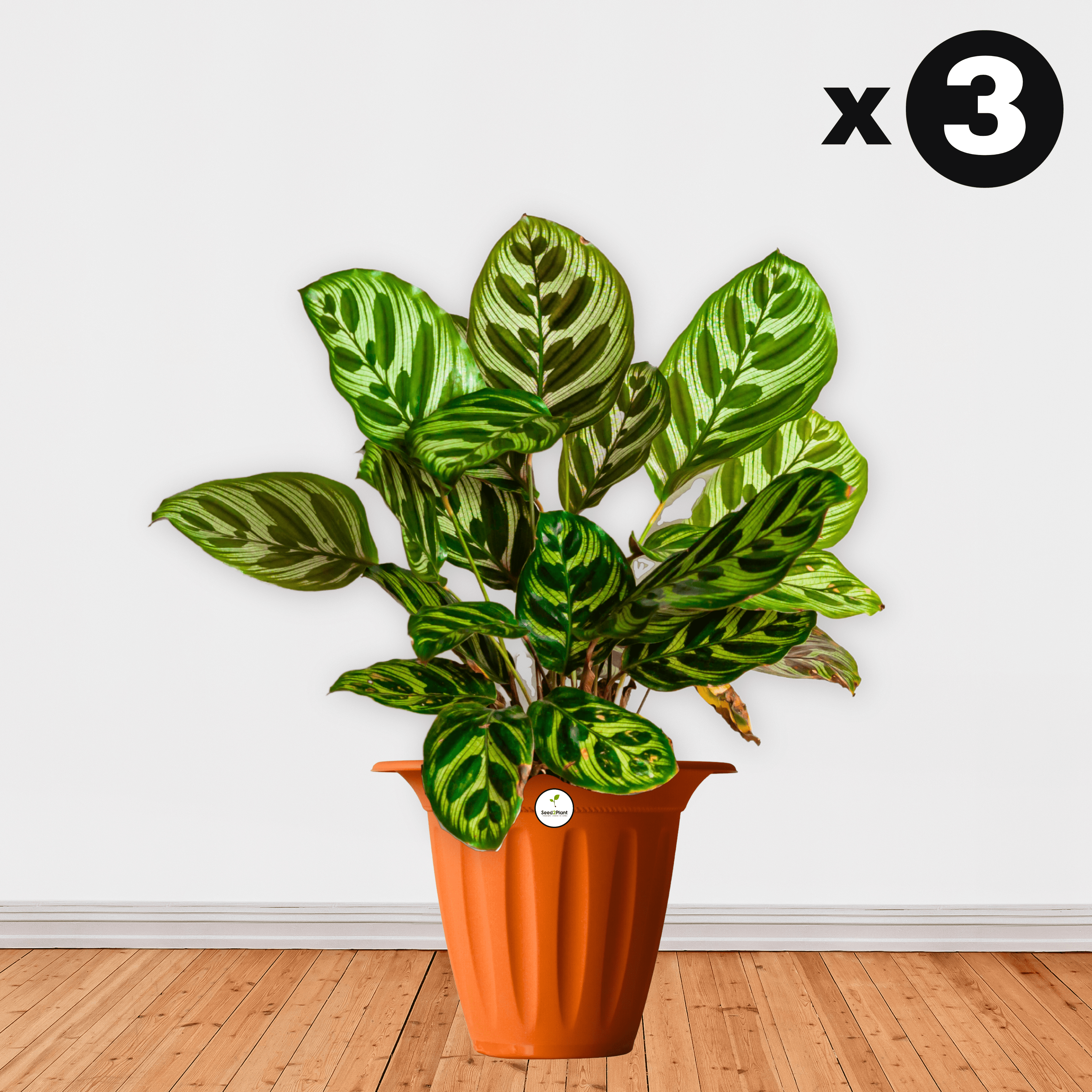 UV Treated Hat Planter/Pot - Terracotta Colour
