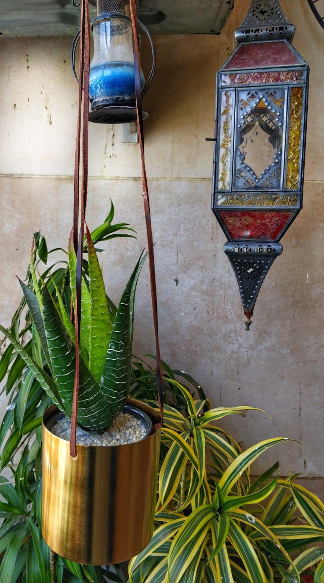 Hanging Metal Planter - Gold Colour