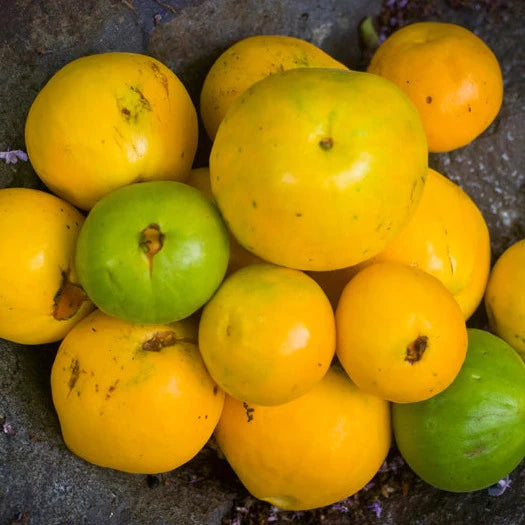Araza Boi Fruit Live Plant (Eugenia Stipitata)