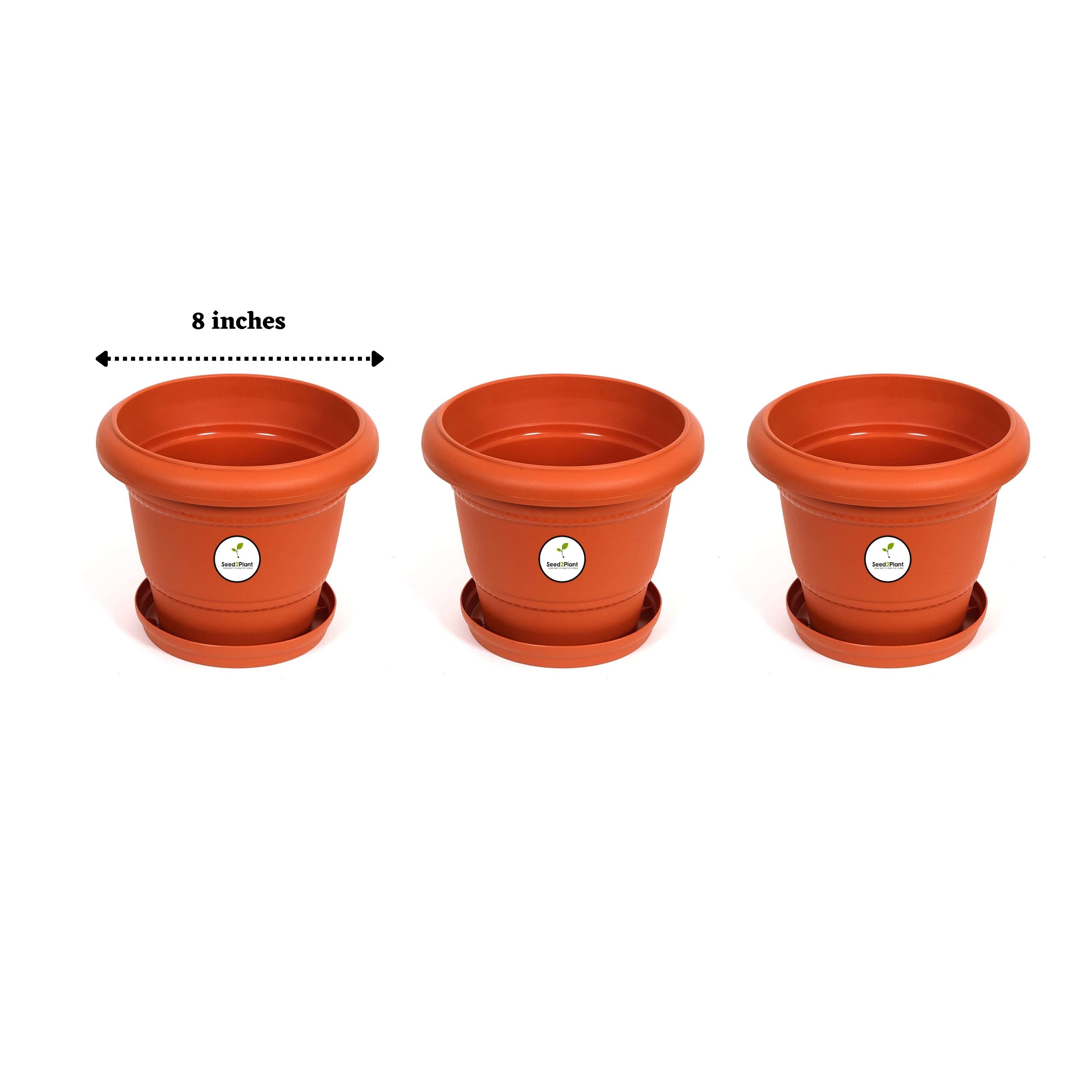 8 Inch UV Treated Plastic Pots - Terracotta Colour