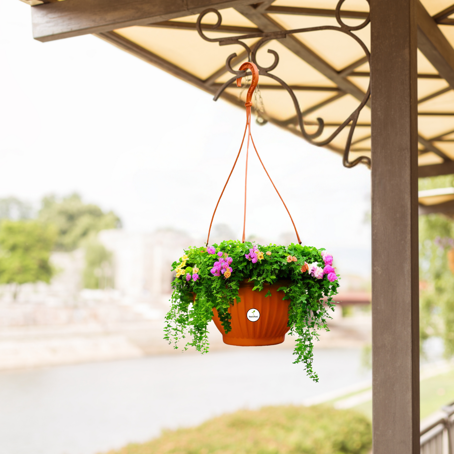 Pots and Planters