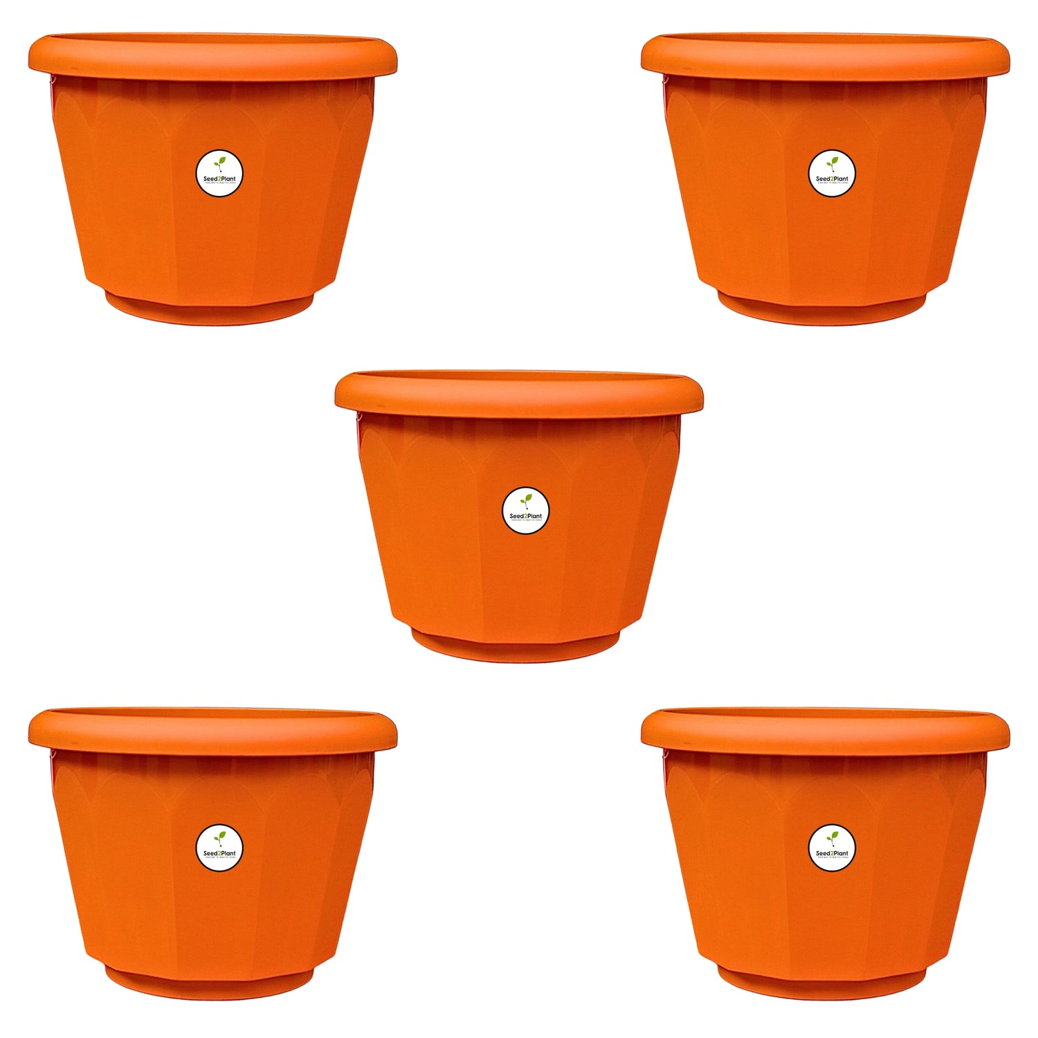 5 Inch Lotus Planter - Terracotta Colour