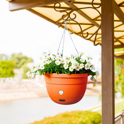 10 Inch Terracotta Elegance Hanging Planter