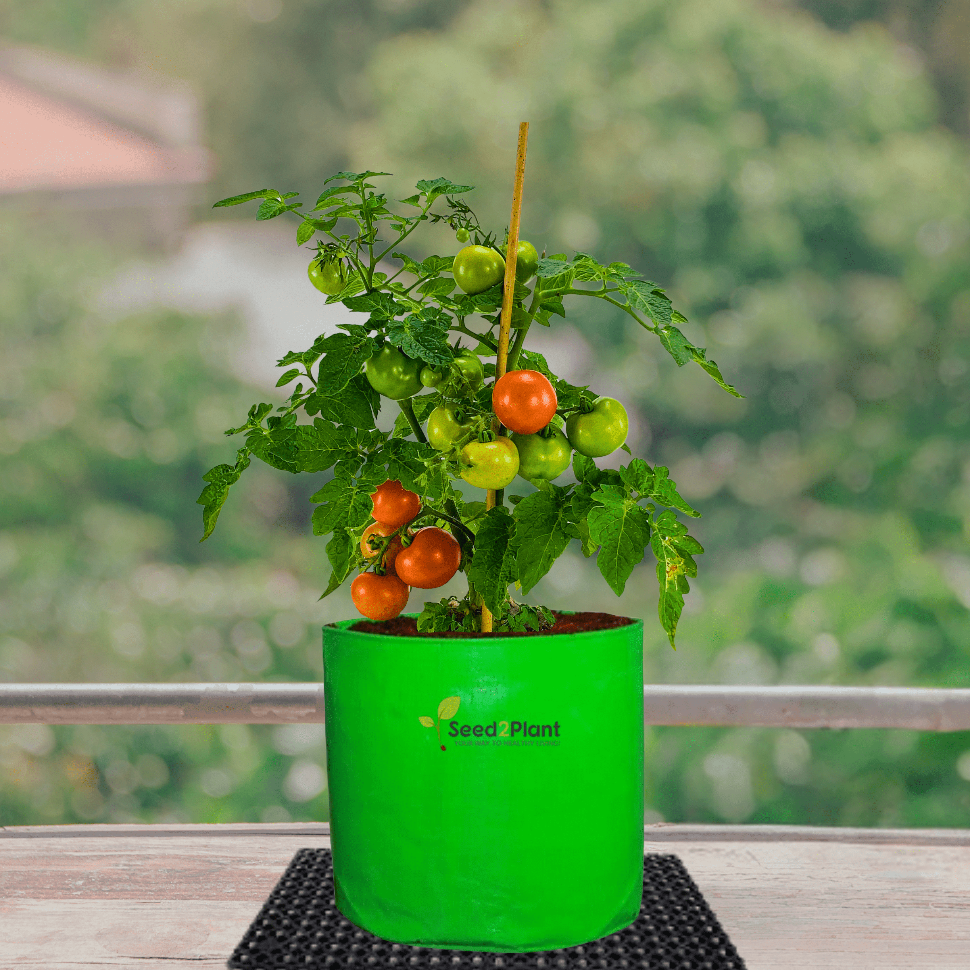 Premium HDPE 15x6 Leafy Grow Bags for Home Garden