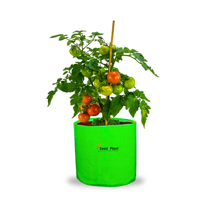 12x12 Inches (1x1 Ft) - 260 GSM HDPE Round Grow Bag