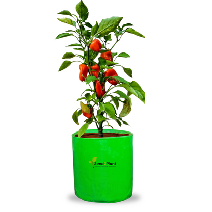 12x15 Inches (1x1¼ Ft) - 260 GSM HDPE Round Grow Bag