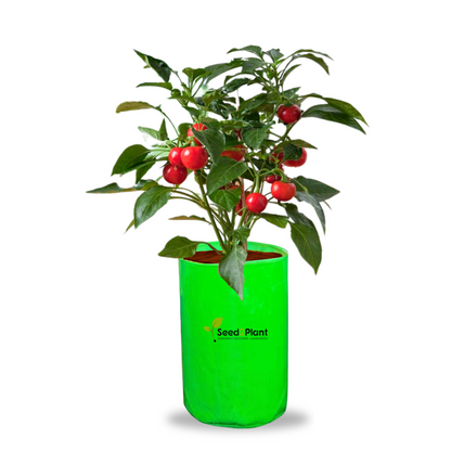 12x24 Inches (1x2 Ft) - 260 GSM HDPE Round Grow Bag