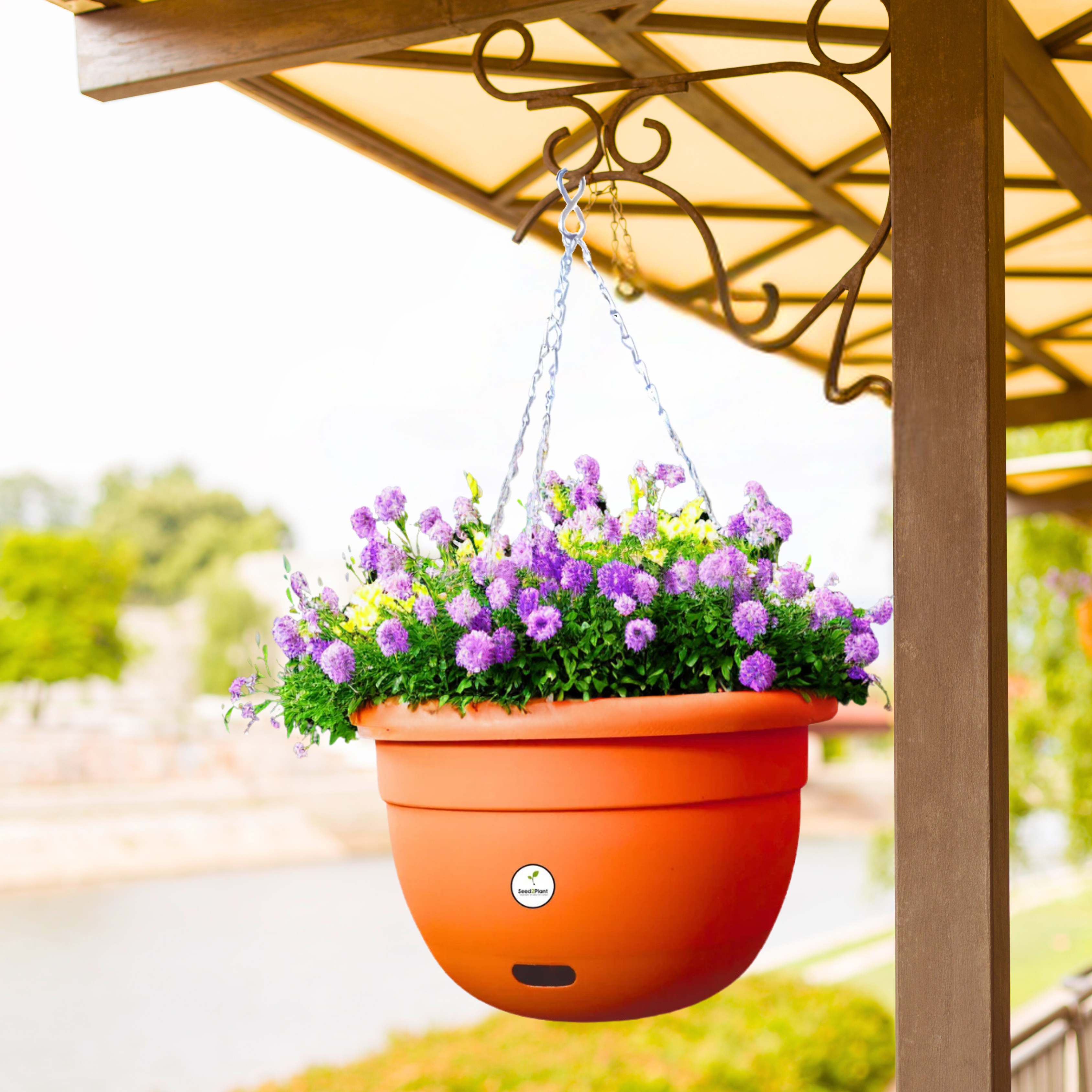 13 Inch Terracotta Elegance Hanging Planter