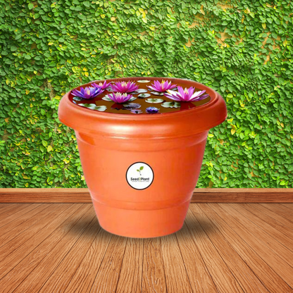 Plastic Pot for Water Lilies UV Treated - Terracotta Colour