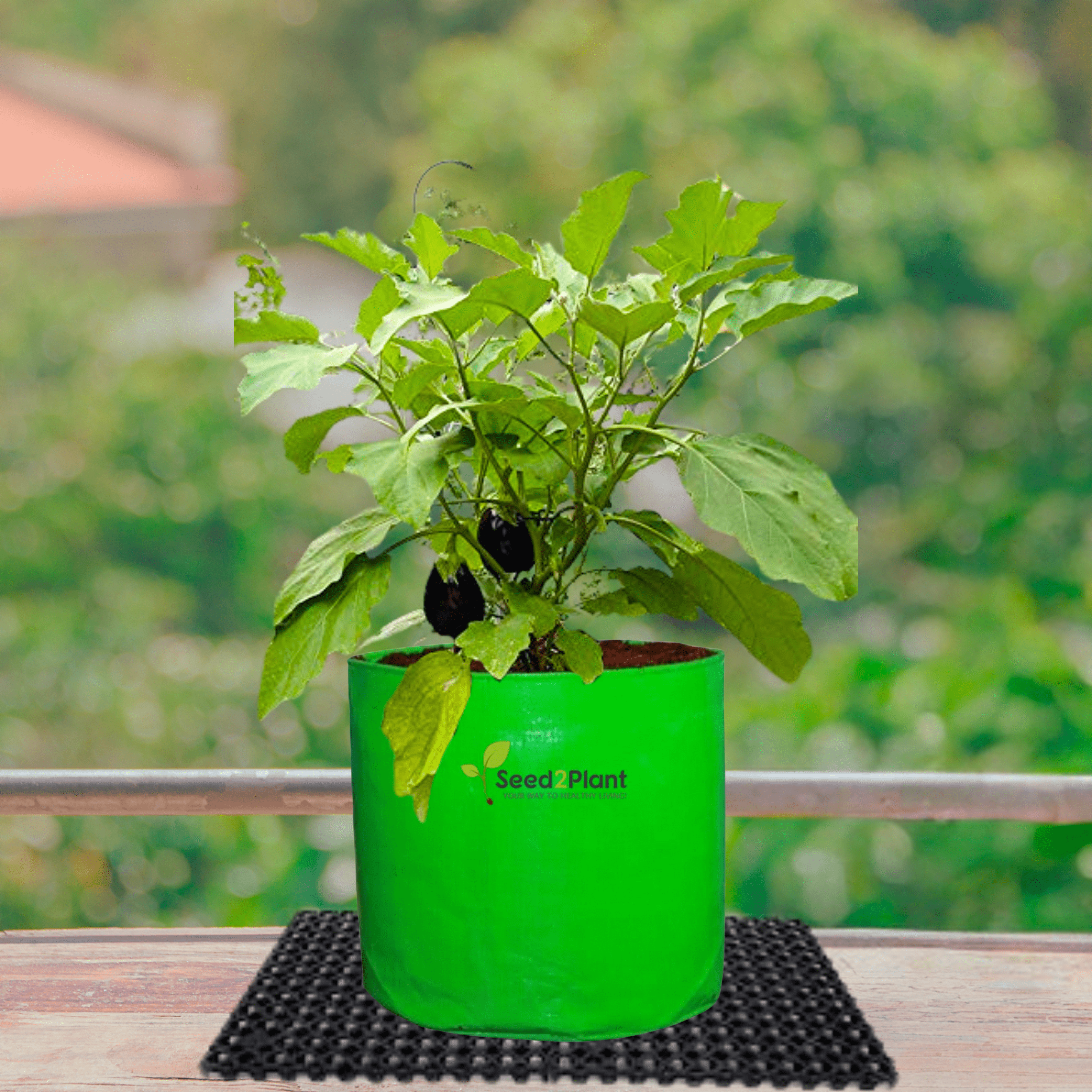 Grow Bag Gardening GIY Kit – Upaj Farm - Grow It Yourself Kits