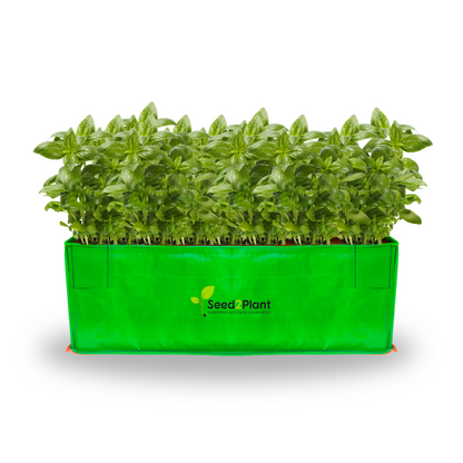 18x12x9 Inches (1½x1x¾ Ft ) - 260 GSM HDPE Rectangular Grow Bag