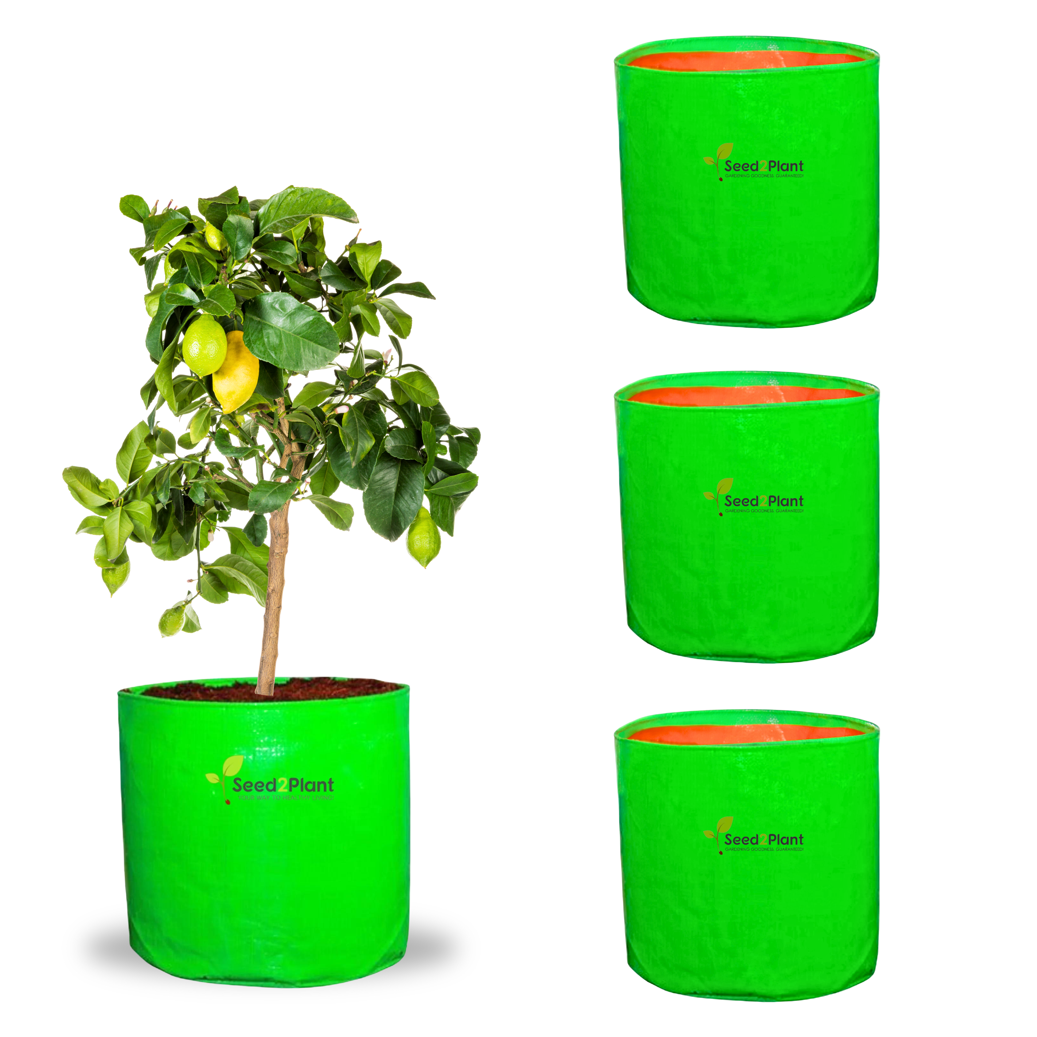 18x18 (1½x1½ Ft) Inches - 220 GSM HDPE Round Grow Bag