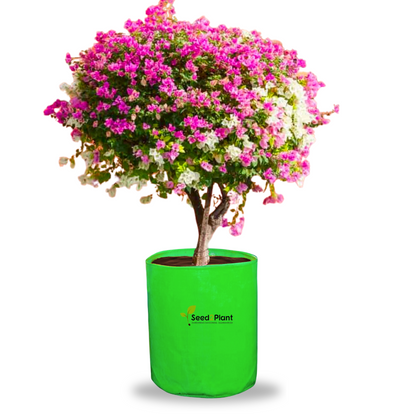 18x24 Inches (1½x2 Ft) - 260 GSM HDPE Round Grow Bag
