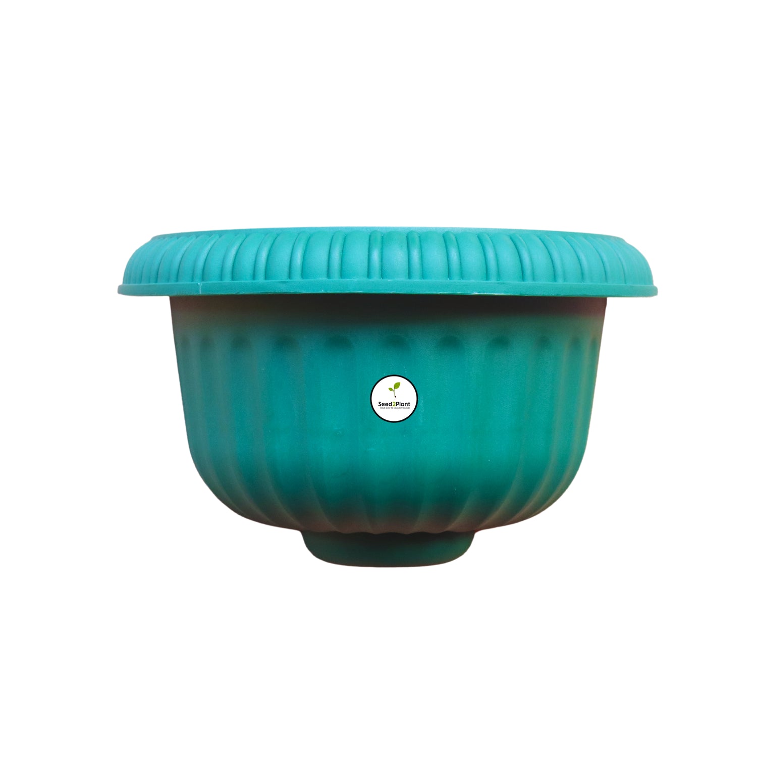 Vibrant Wall Mounted Planter - Green Colour