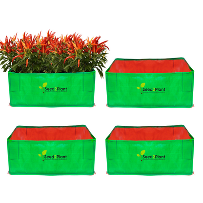 24x12x12 Inches (2x1x1 Ft ) - 260 GSM HDPE Rectangular Grow Bag