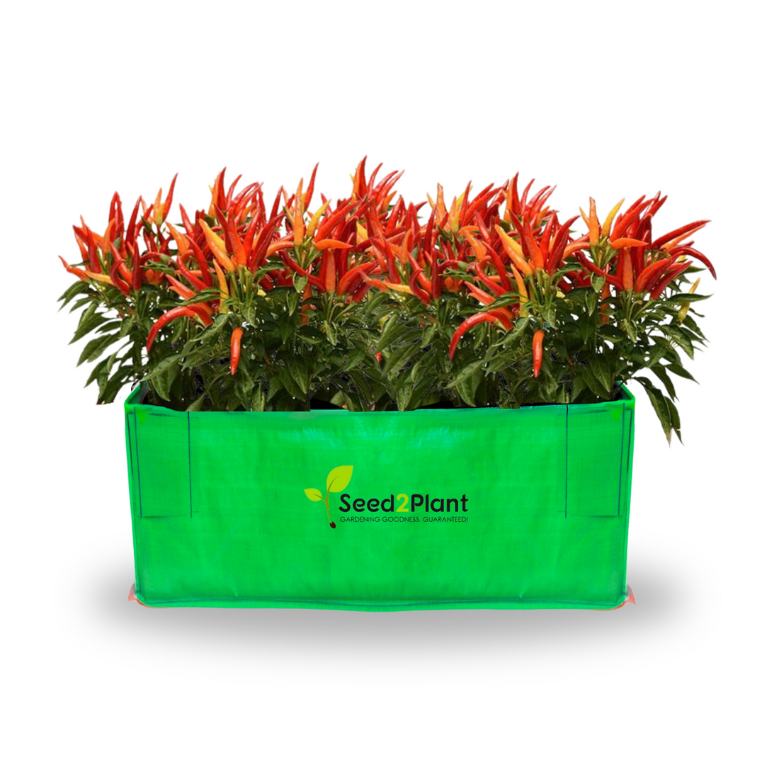 24x12x12 Inches (2x1x1 Ft ) - 260 GSM HDPE Rectangular Grow Bag