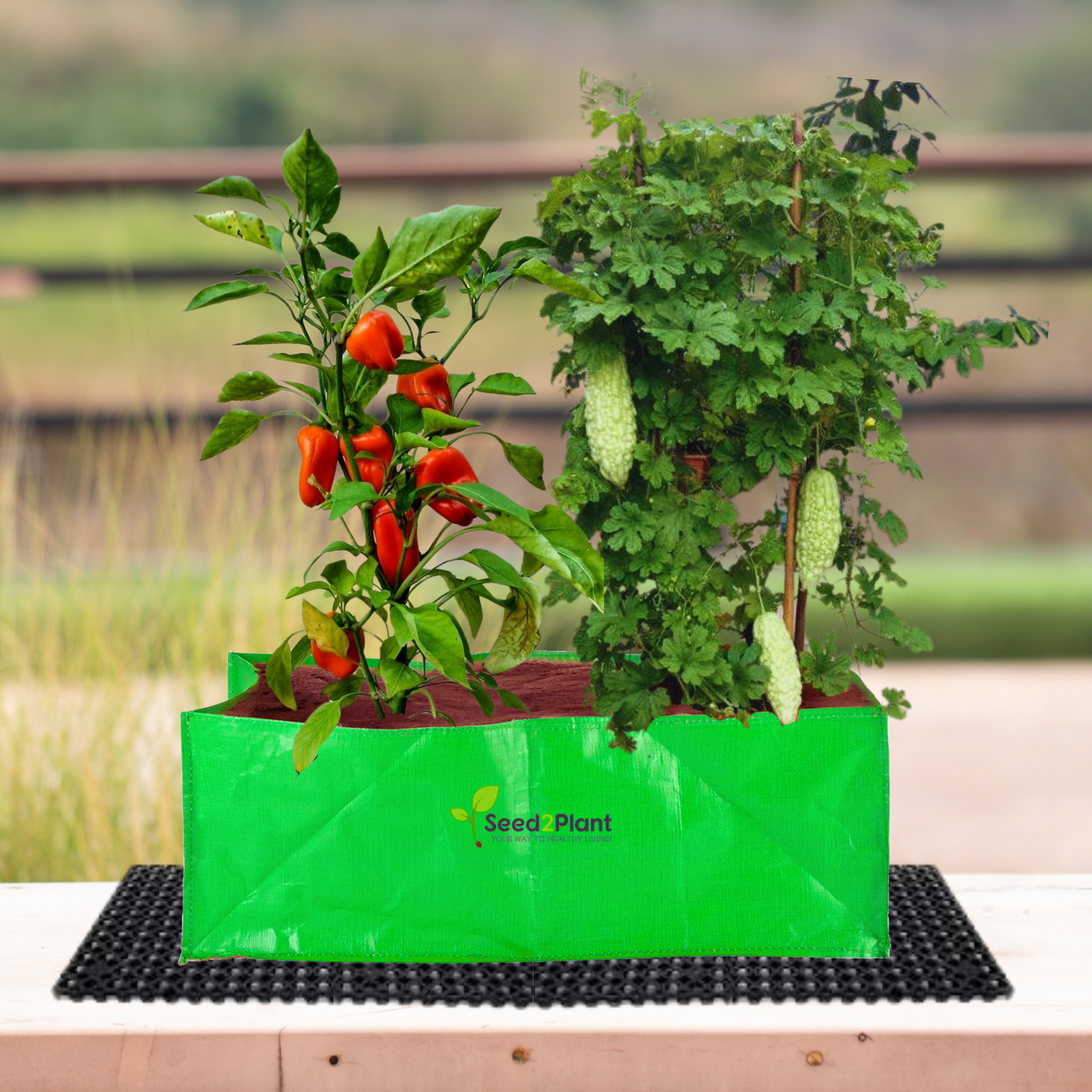 24x12x9 Inches (2x1x¾ Ft ) - 220 GSM HDPE Rectangular Grow Bag