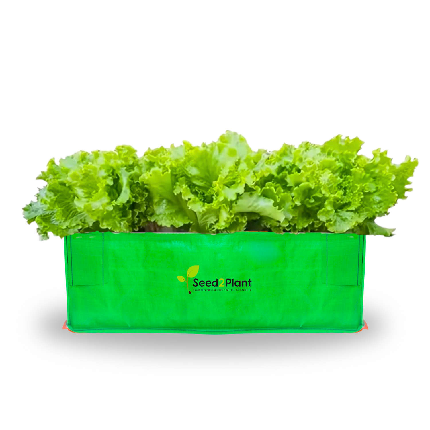 24x12x9 Inches (2x1x¾ Ft ) - 220 GSM HDPE Rectangular Grow Bag