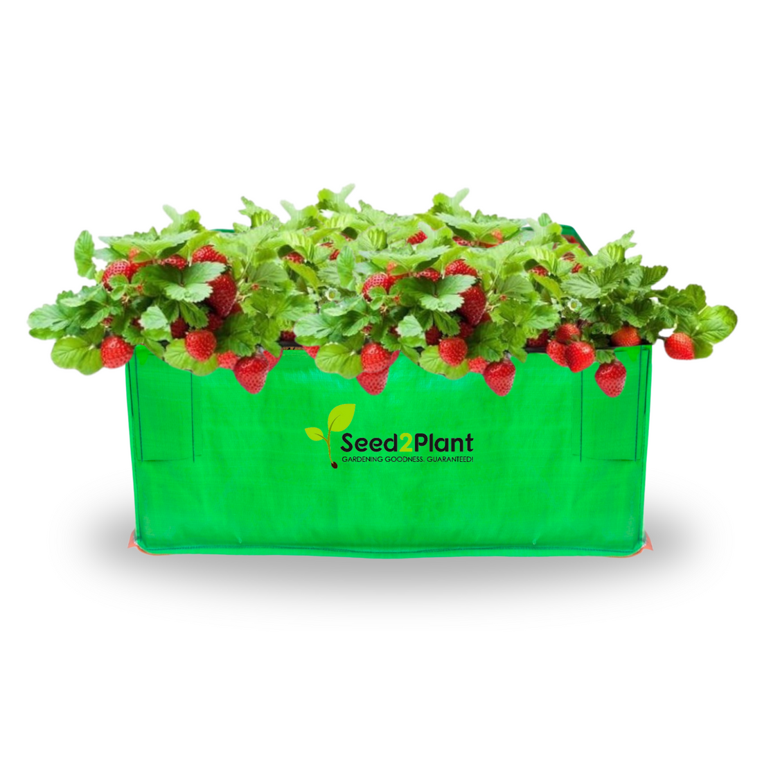 24x24x12 Inches (2x2x1 Ft) - 260 GSM HDPE Rectangular Grow Bag
