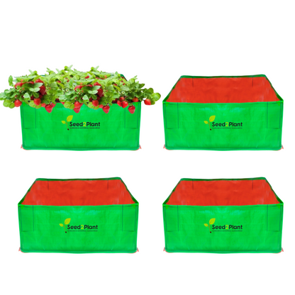 24x24x12 Inches (2x2x1 Ft) - 260 GSM HDPE Rectangular Grow Bag