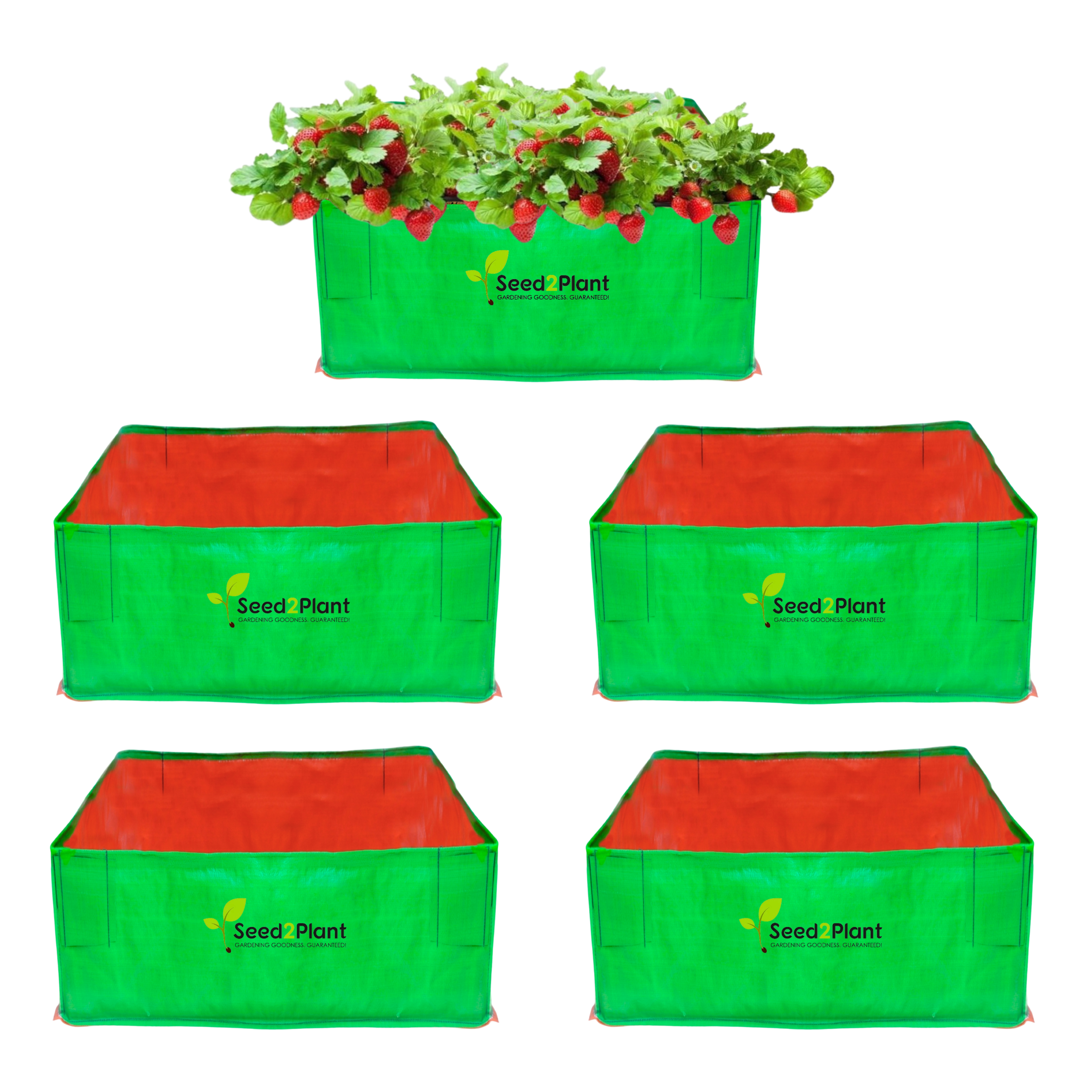 24x24x12 Inches (2x2x1 Ft) - 260 GSM HDPE Rectangular Grow Bag
