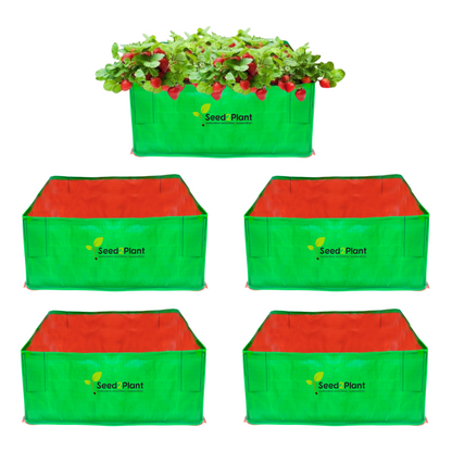 24x24x12 Inches (2x2x1 Ft) - 260 GSM HDPE Rectangular Grow Bag