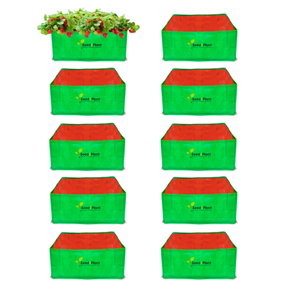 24x24x12 Inches (2x2x1 Ft) - 260 GSM HDPE Rectangular Grow Bag