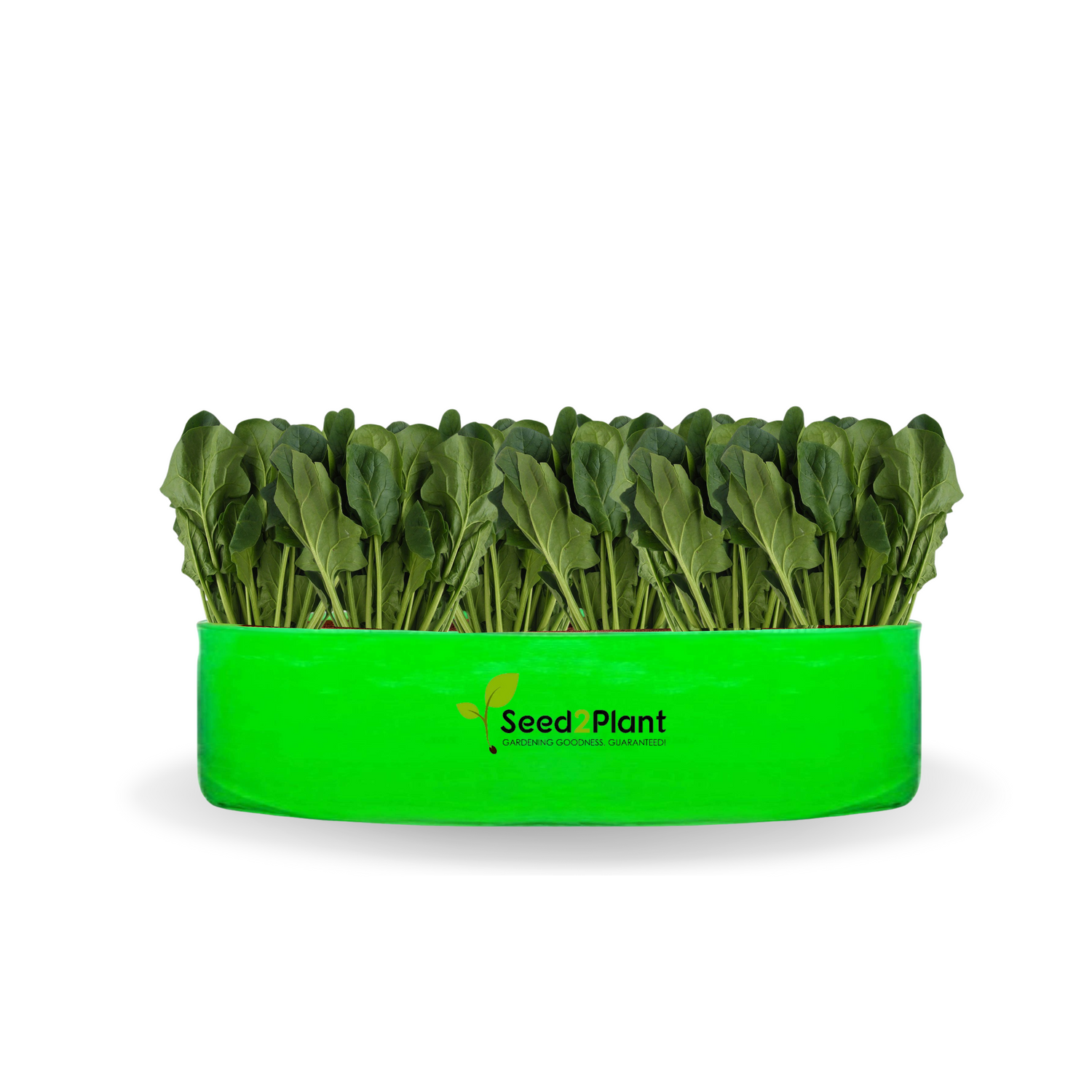 24x6 Inches (2x 1⁄2 Ft) - 260 GSM HDPE Round Spinach Grow Bag