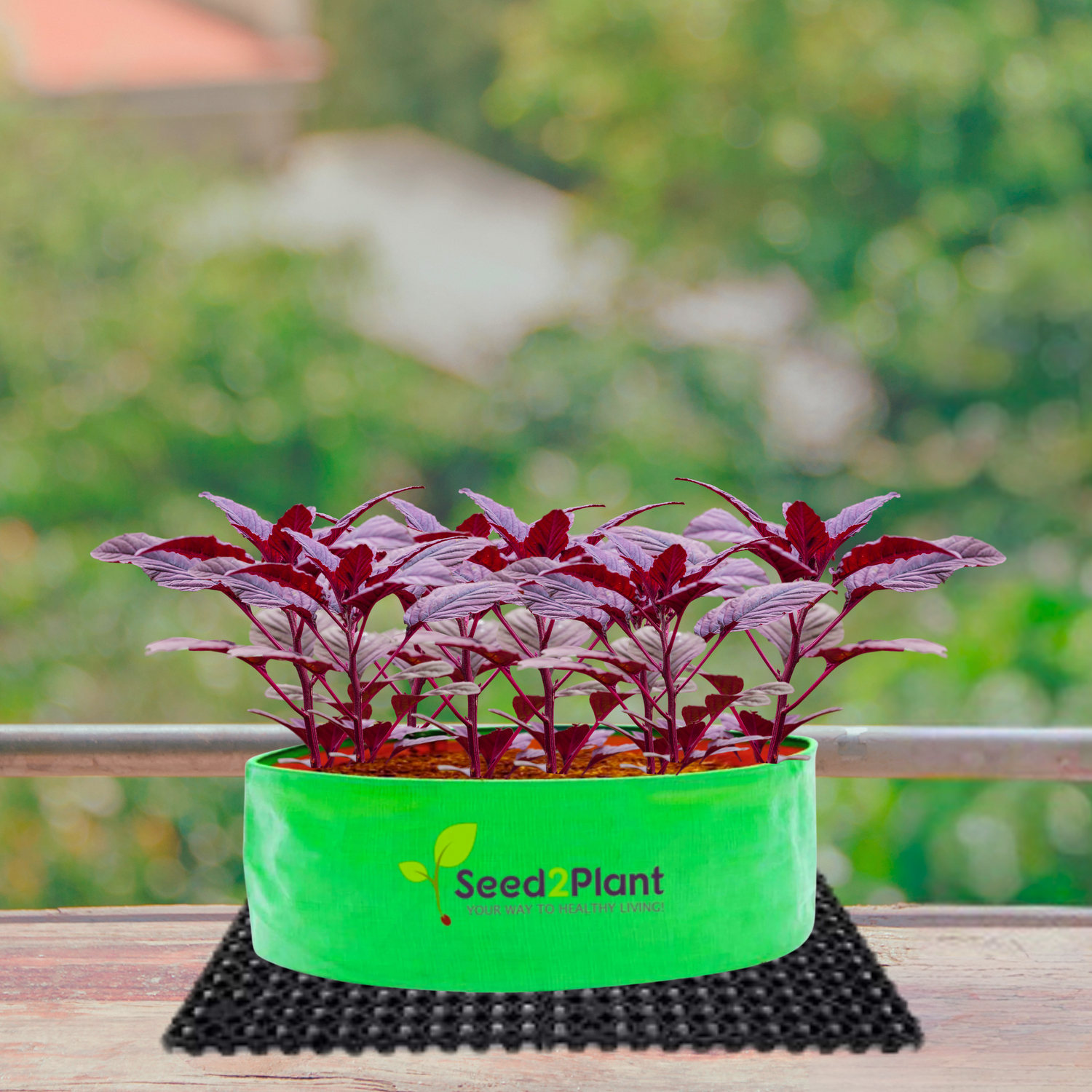 24x9 Inches (2x¾ Ft) - 220 GSM HDPE Round Spinach Grow Bag