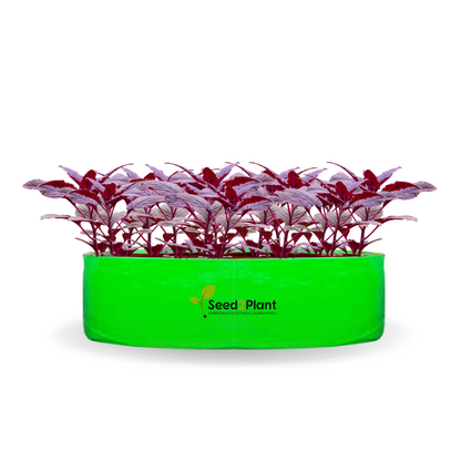 24x9 Inches (2x¾ Ft) - 260 GSM HDPE Round Spinach Grow Bag