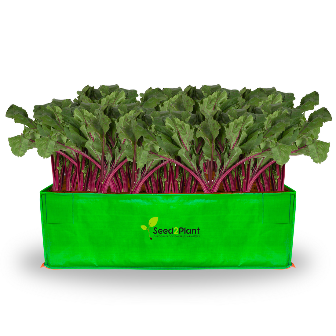 36x24x12 Inches (3x2x1 Ft) - 220 GSM HDPE Rectangular Grow Bag