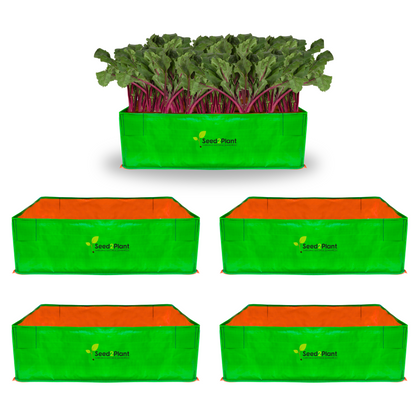 36x24x12 Inches (3x2x1 Ft) - 220 GSM HDPE Rectangular Grow Bag