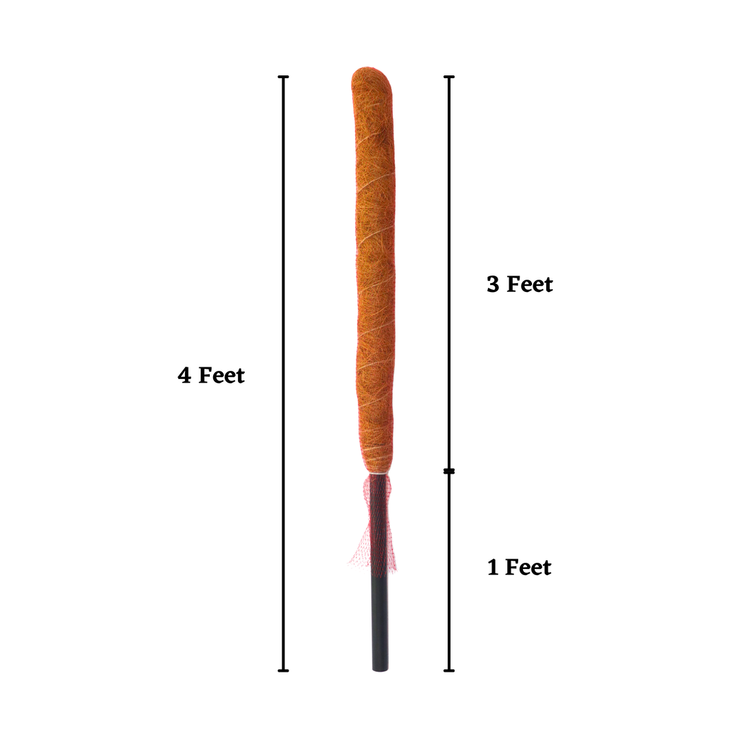 Coir Moss Stick / Coco Pole for Indoor Plants - 3 Ft Height