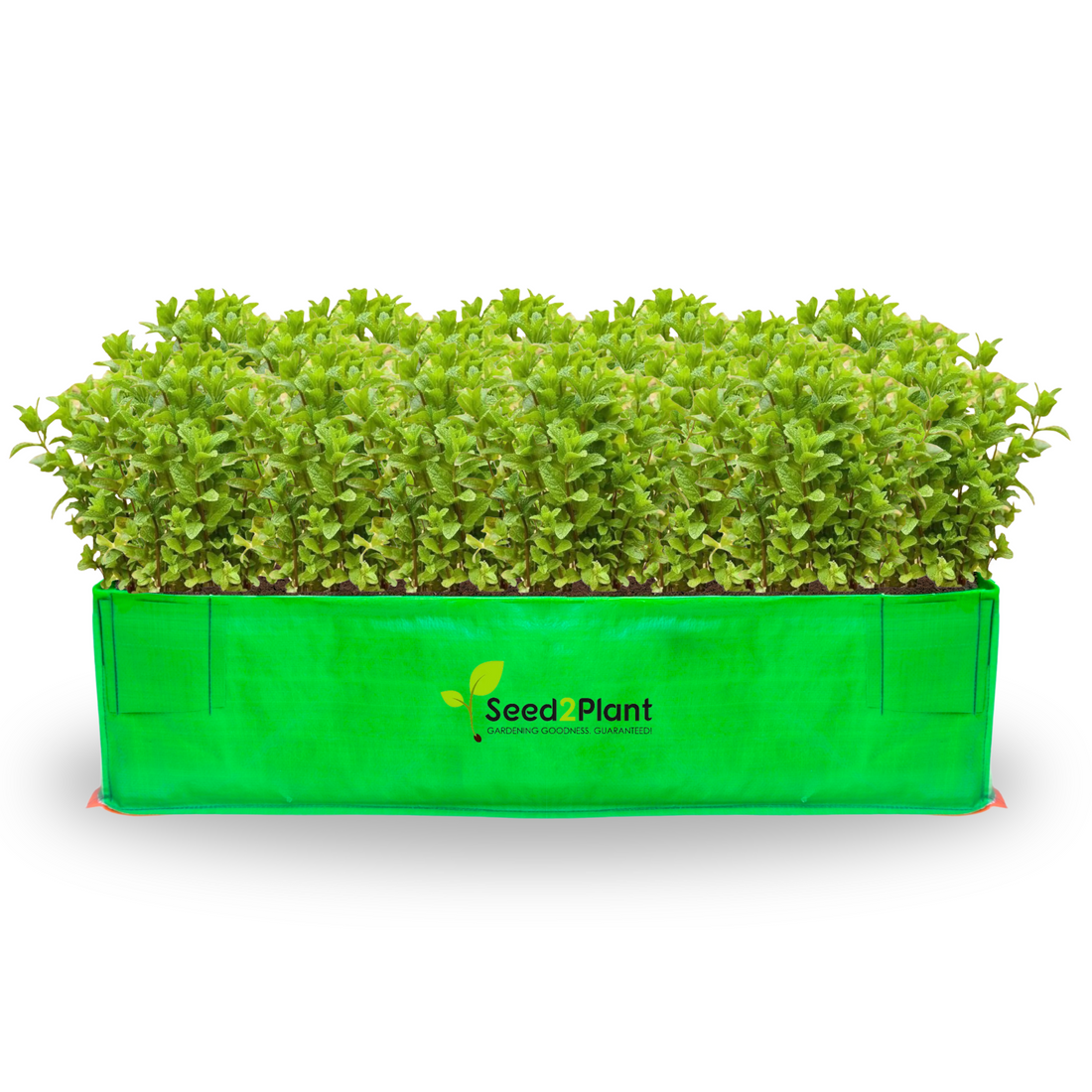 48x24x12 Inches (4x2x1 Ft) - 220 GSM HDPE Rectangular Grow Bag