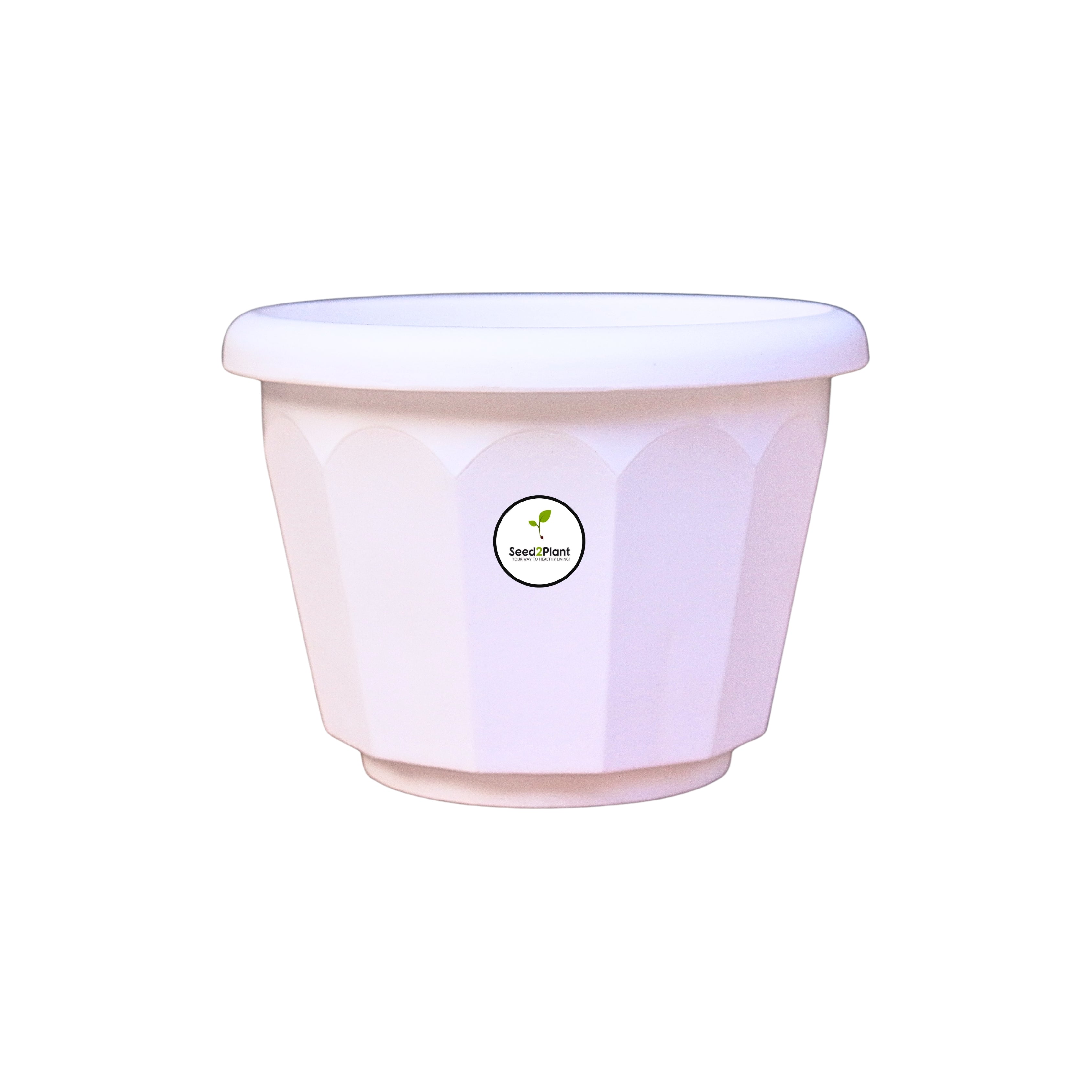 6 Inch Lotus Planter - White Colour