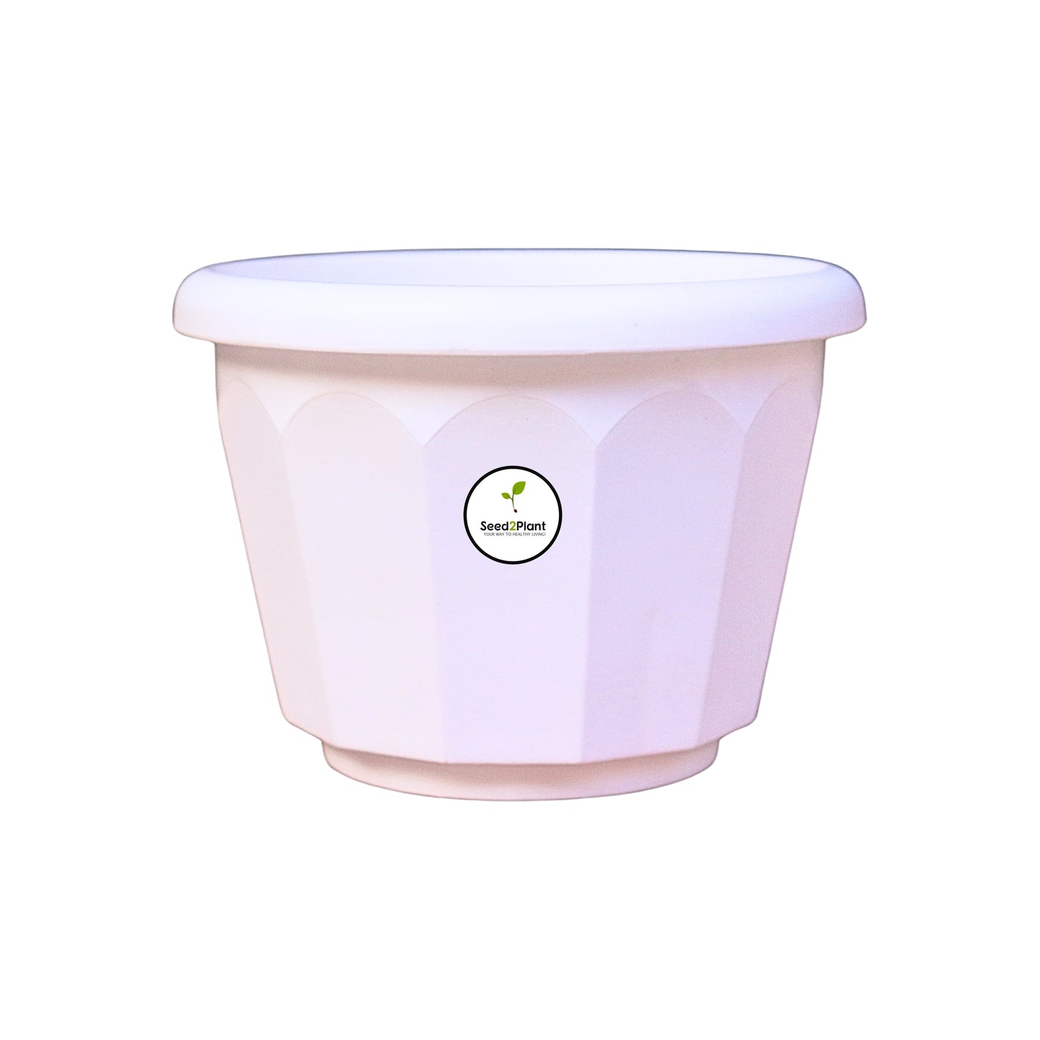 8 Inch Lotus Planter - White Colour