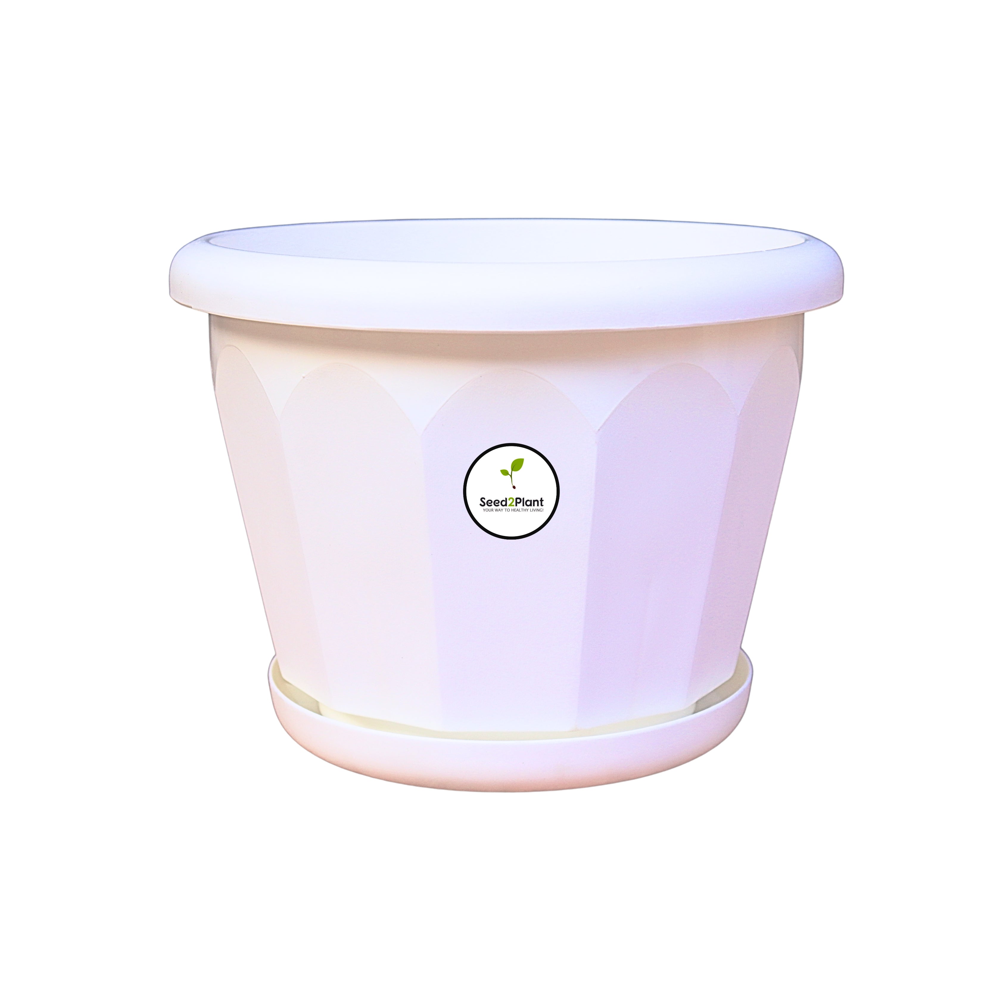 8 Inch Lotus Planter - White Colour