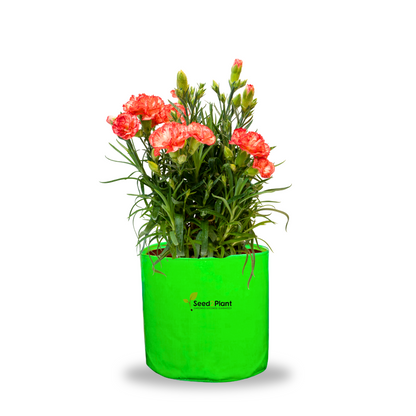 9x9 Inches (¾x¾ Ft) - 260 GSM HDPE Round Grow Bag