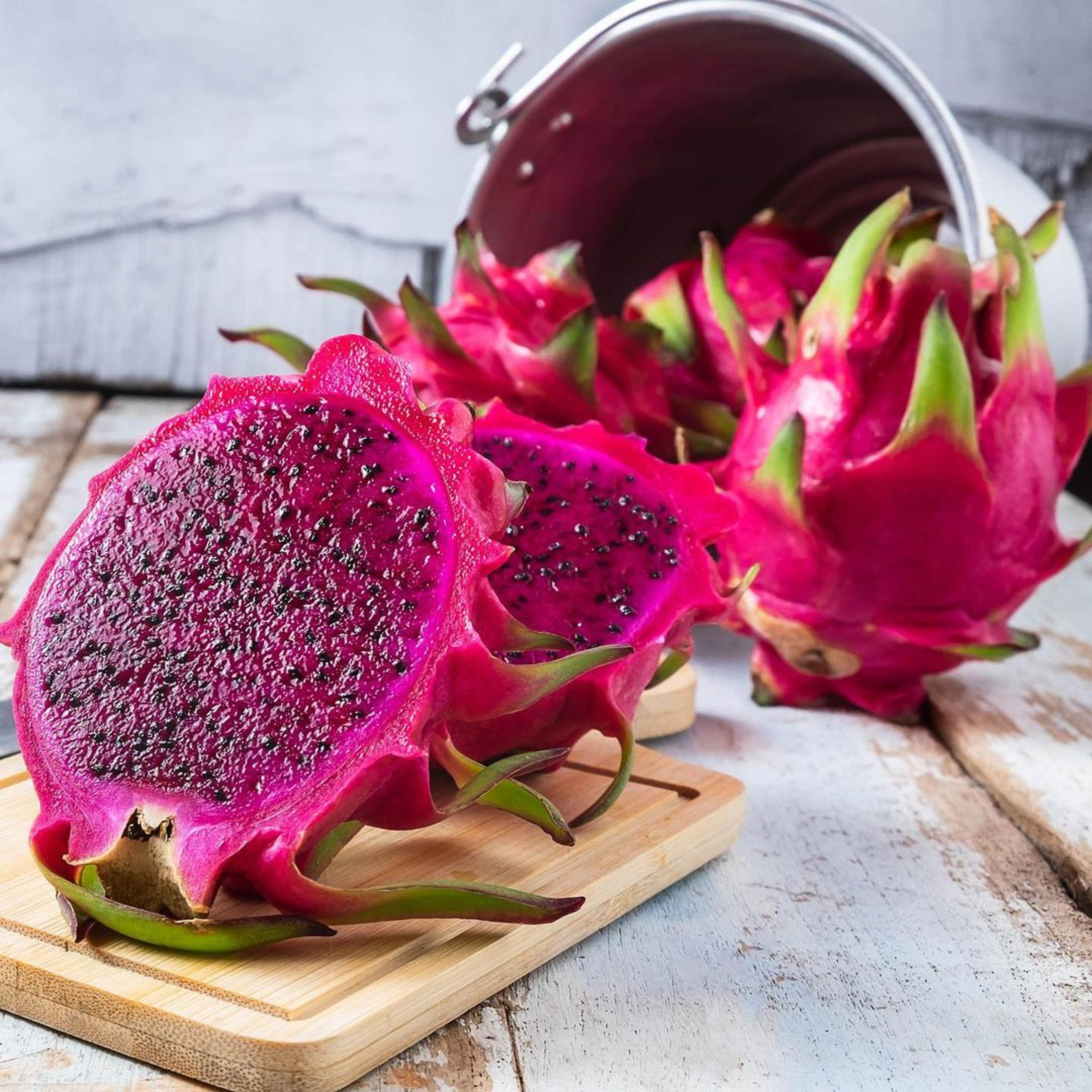 American Beauty Dragon Fruit