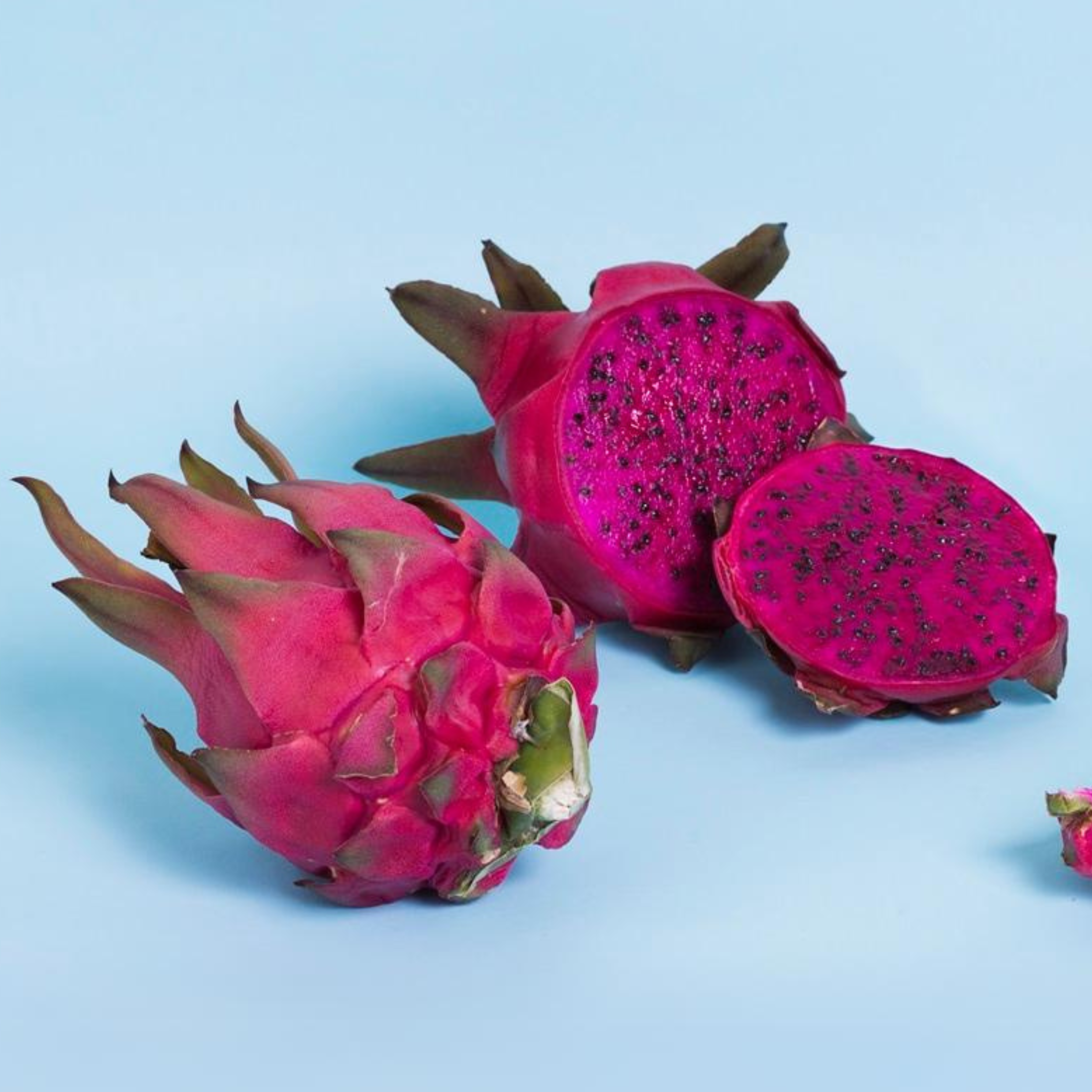 American Beauty Dragon Fruit