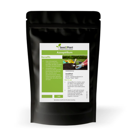 Azospirillum Nitrogen Fixing Biofertilizer