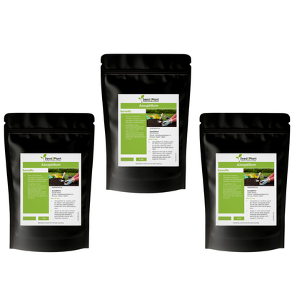 Azospirillum Nitrogen Fixing Biofertilizer