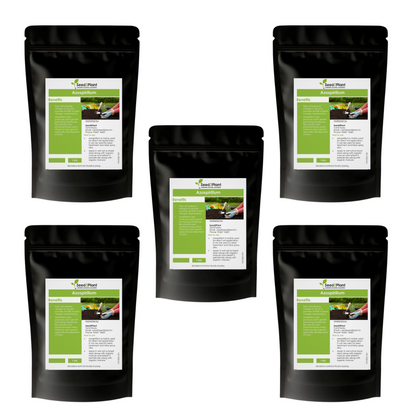 Azospirillum Nitrogen Fixing Biofertilizer
