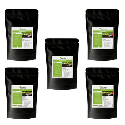 Azospirillum Nitrogen Fixing Biofertilizer